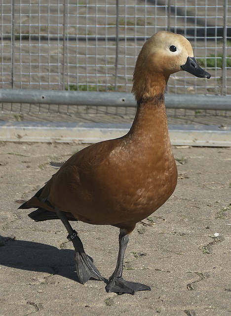 赛场上